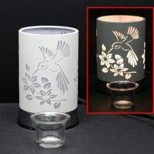 Brûleur de cire et HE Colibri ( plusieurs modèles disponibles)