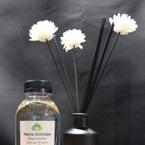 Diffuseur roseaux Pêche orchidée