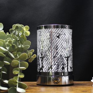 Lampe rechargeable LED USB-C Ravine argenté
