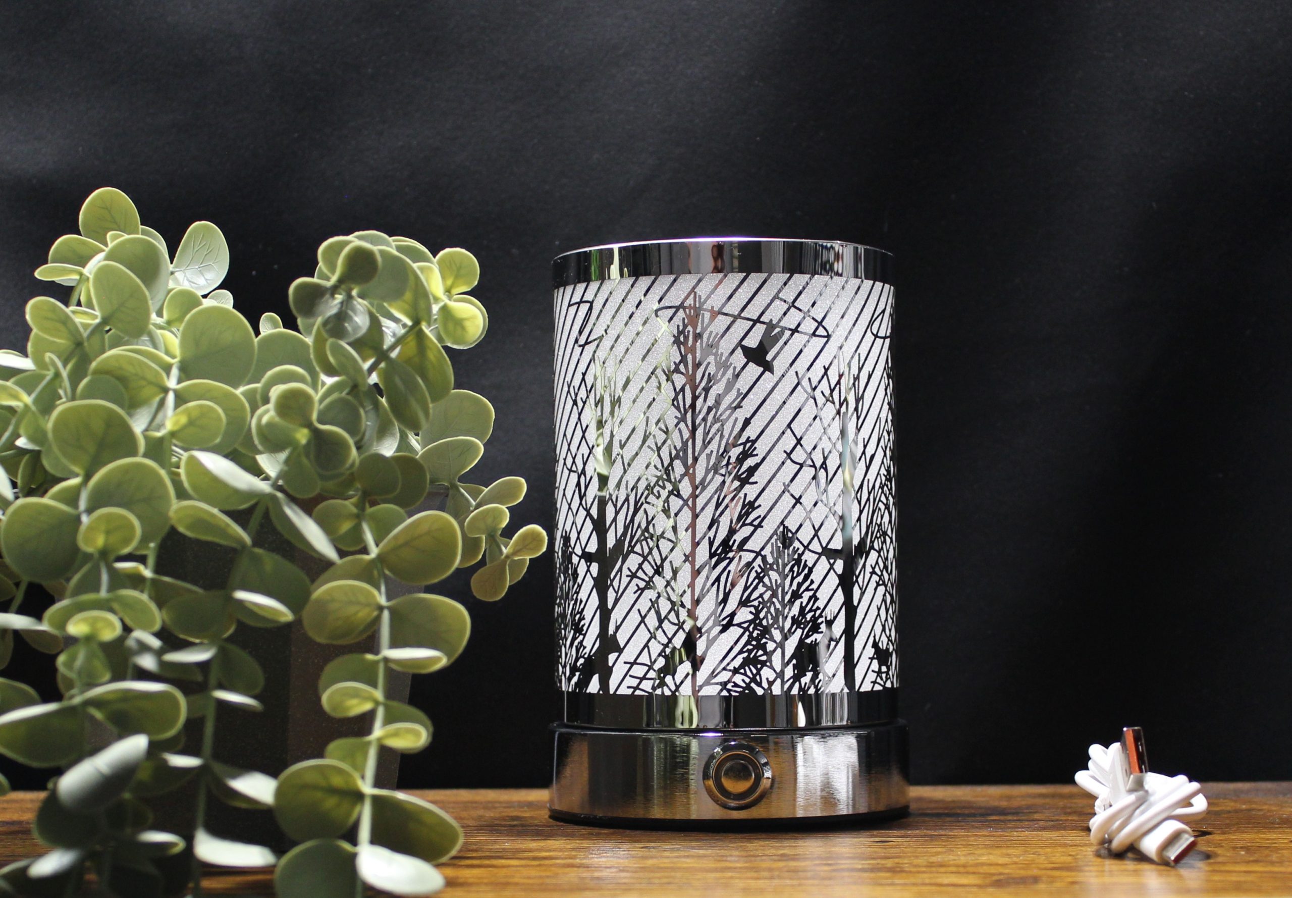 Lampe rechargeable LED USB-C Ravine argenté