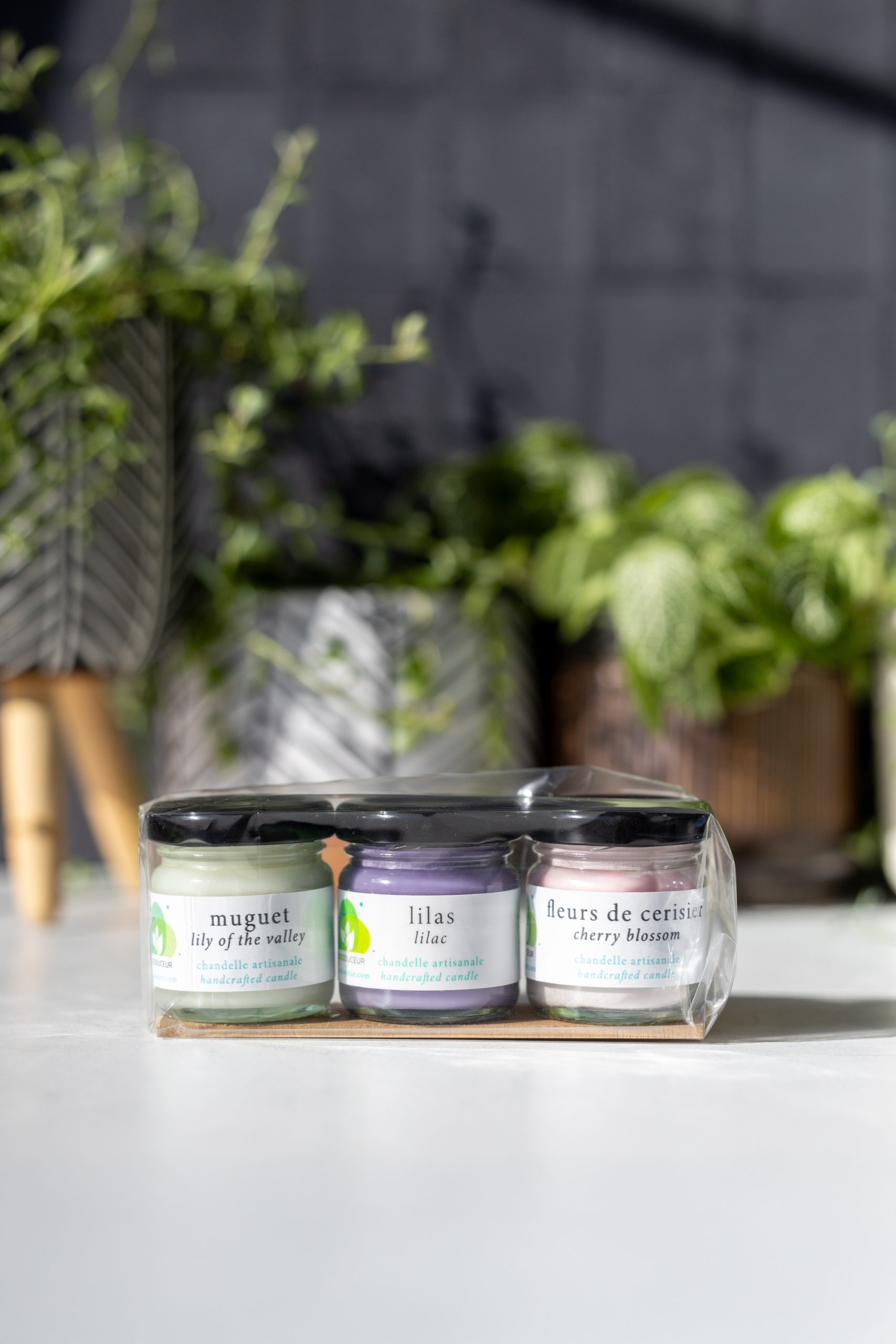 Ensemble Trio de chandelles 45 g